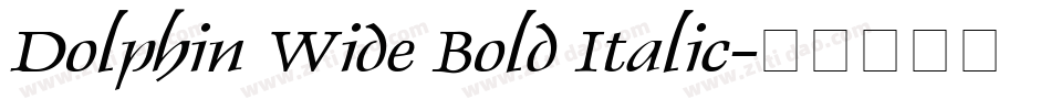 Dolphin Wide Bold Italic字体转换